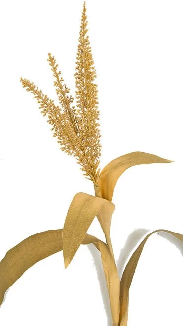 7.5 Foot Fire Retardant Fall Corn Leaf Plant - Image 3
