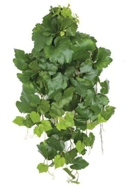 30 INCH FIRESAFE GRAPE IVY BUSH | GREEN OR AUTUMN