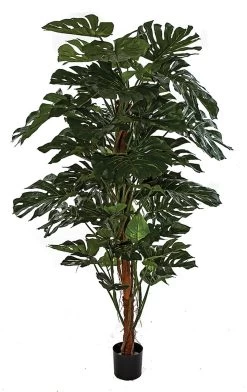 6 Foot Firesafe Split Leaf Philo Tree
