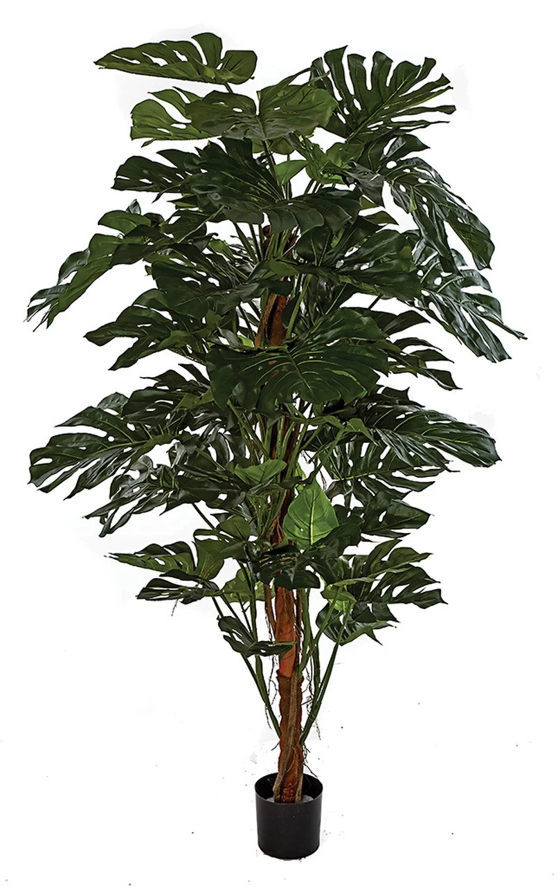 6 Foot Firesafe Split Leaf Philo Tree