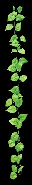 72 Inches PHILODENDRON VINE GARLAND Light Green Fire Retardant