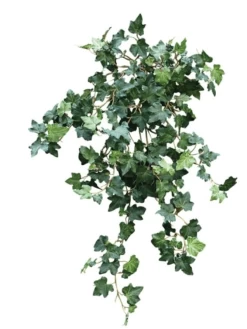 24 Inches Fire Retardant Boston Ivy Bush 215 Leaves