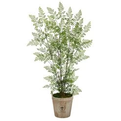 5.5’ Ruffle Fern Artificial Tree In Farmhouse Planter