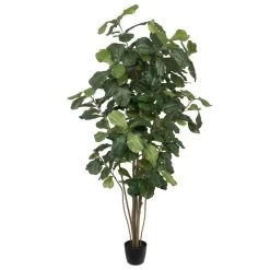 7' Potted Fiddle Tree W/240 Lvs-Green