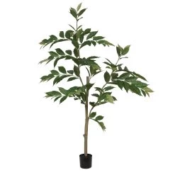 5 Feet Potted Nandina Treew/226 Lvs-Green