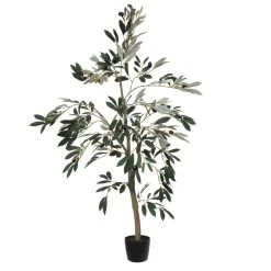 4' Potted Olive Tree 408 Lvs
