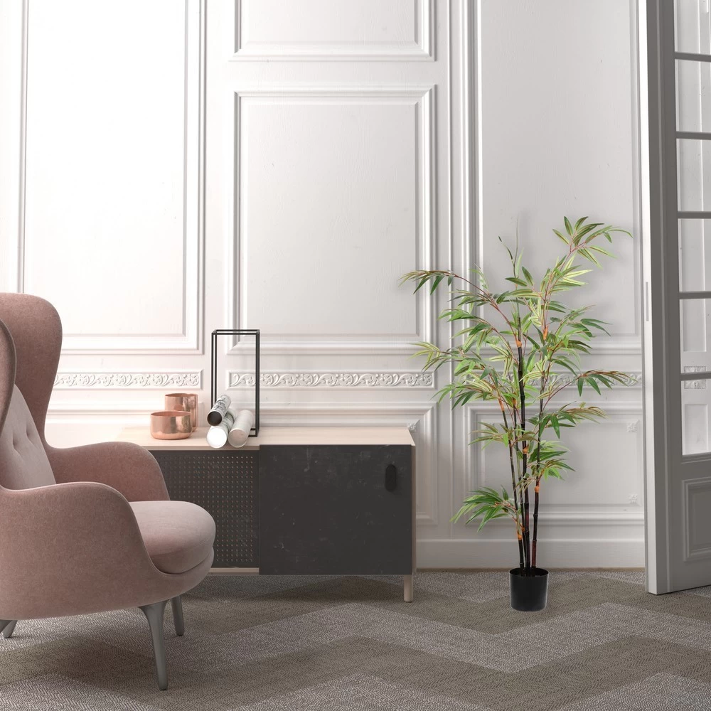 4' Potted Black Japanese Bamboo Tree - Image 3