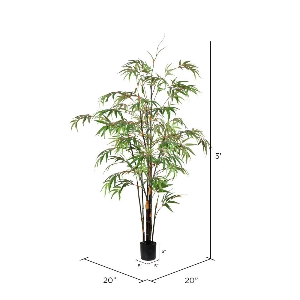 5' Potted Black Japanese Bamboo Tree - Image 2