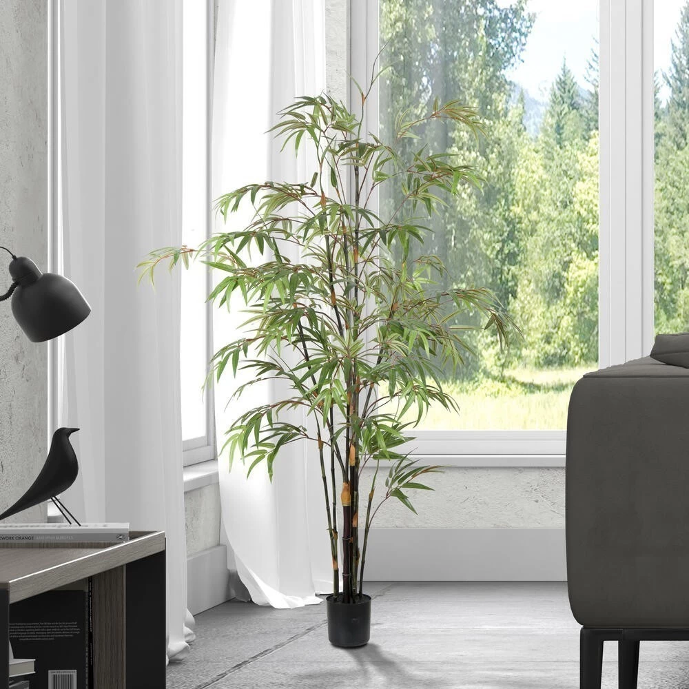 5' Potted Black Japanese Bamboo Tree - Image 3