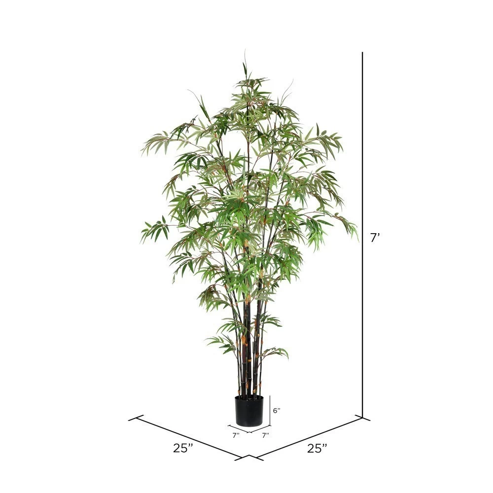 7' Potted Black Japanese Bamboo Tree - Image 2
