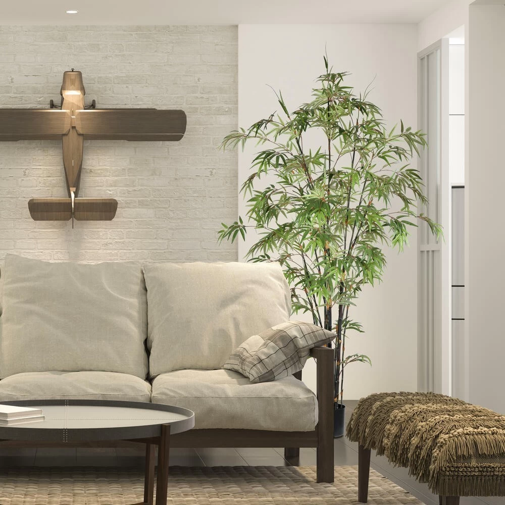 7' Potted Black Japanese Bamboo Tree - Image 3