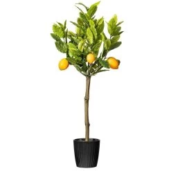 3' Potted Lemon Tree 111 Leaves