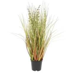 24 Inches Green And Brown Grass In Pot
