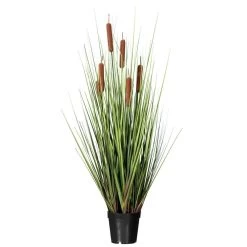 36" Grass With 6 Cattails Potted