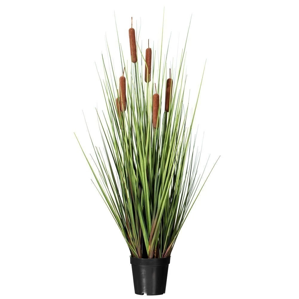36" Grass With 6 Cattails Potted