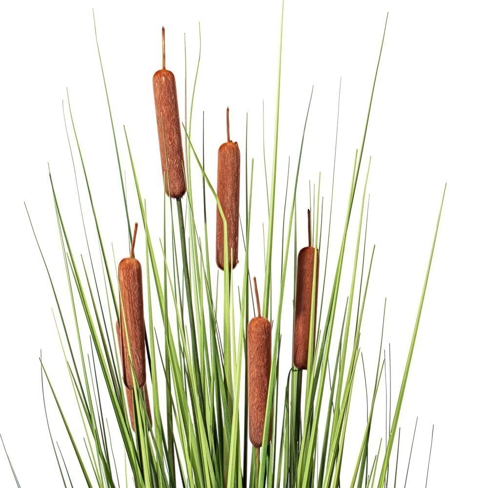 36" Grass With 6 Cattails Potted - Image 4