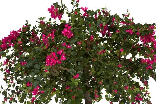9 FOOT FLOWERING FUCHSIA BOUGAINVILLEA TREE ON SYNTHETIC TRUNK IN WEIGHTED BASE - Image 2