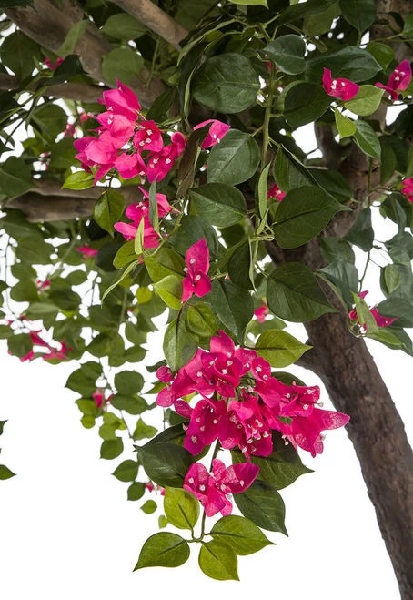 9 FOOT FLOWERING FUCHSIA BOUGAINVILLEA TREE ON SYNTHETIC TRUNK IN WEIGHTED BASE - Image 3