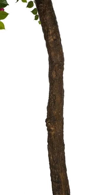 9 FOOT FLOWERING FUCHSIA BOUGAINVILLEA TREE ON SYNTHETIC TRUNK IN WEIGHTED BASE - Image 4