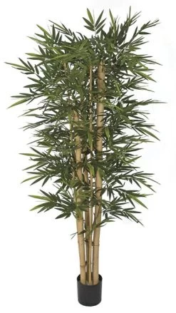 7 Feet Bamboo Tree Natural Brown Thick And Thin Canes 1,664 Leaves Weighted Base