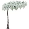10.5 Foot Exotic Wisteria Tree White
