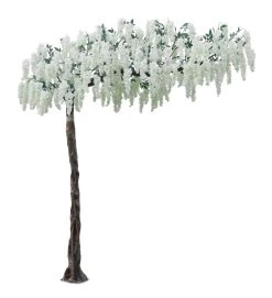 10.5 Foot Exotic Wisteria Tree White
