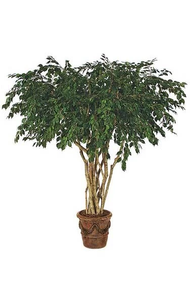 8 Feet Ficus Tree - Natural Trunks - 5,472 Leaves - Green - Weighted Base - FIRE RETARDANT - Custom Made
