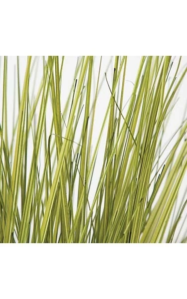 30 Inches PVC Onion Grass - Green/Yellow - Weighted Base Fire Retardant - Image 3