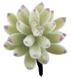 4 Inches Plastic Agave Pick - Flocked Light Green/Mauve
