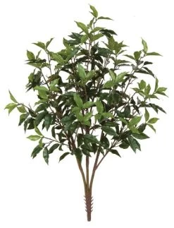 38 Inches Ficus Bush - 3 Stems - Green - 24 Inches Foliage Height - 20 Inches Width