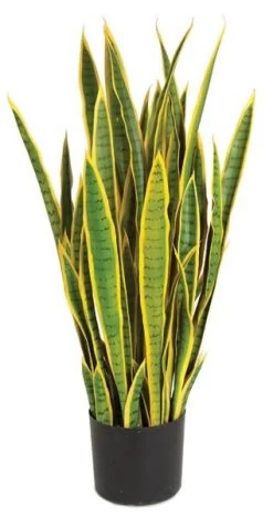 A-15202 39 Inches Plastic Sanseveria Plant - Green/Yellow