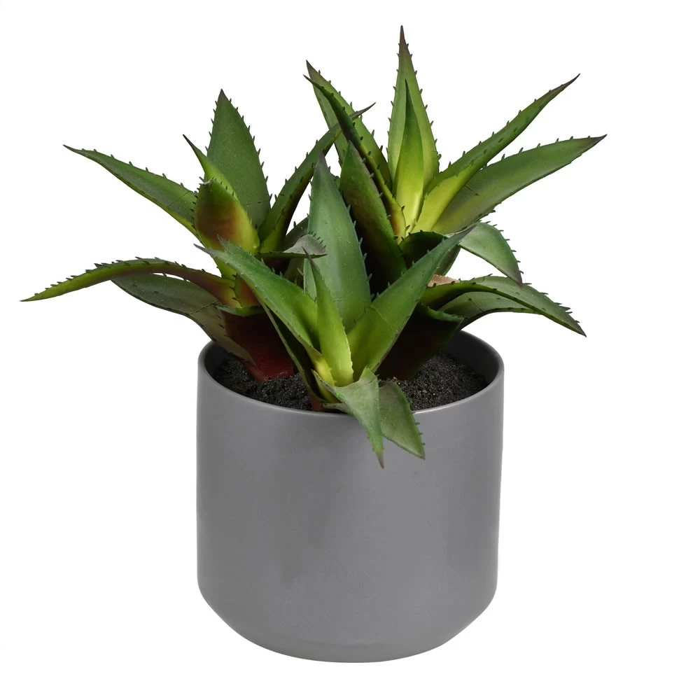 10 Inches Green Potted Aloe