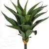 22 Inch Fire Retardant Outdoor UV Rated Plastic Agave Green 18 Leaves