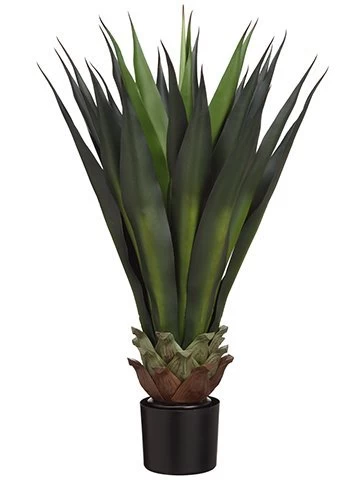 33"agave In Black Pot