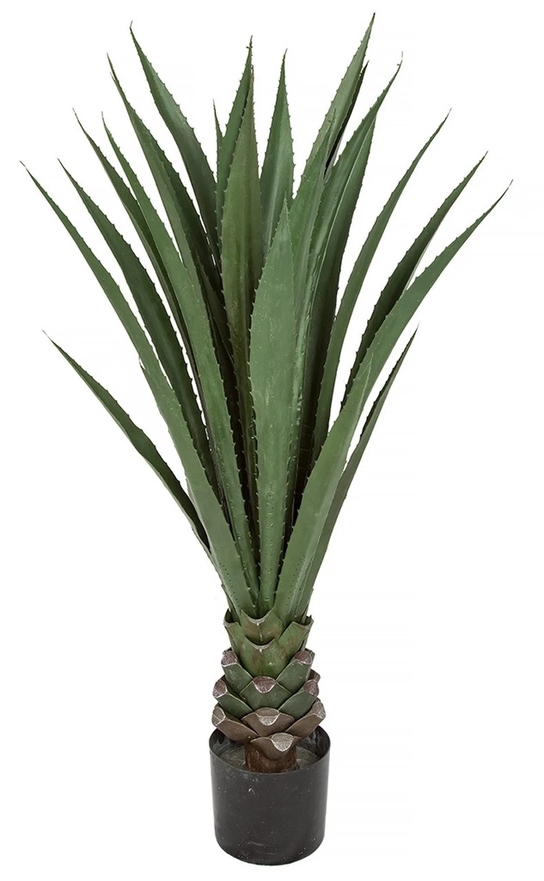 EF-1818 50 Inches Giant Agave Plant W /17 Lvs In Black Pot