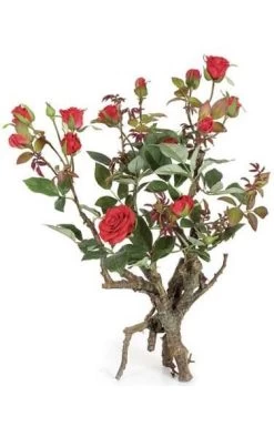 18 Inches Roses In Branch With Leaves/Thorns - Plastic Brown Trunk - 13 Red Roses - 2 Buds