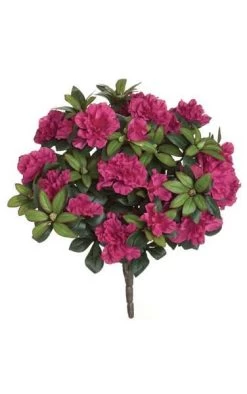17 Inches Azalea Bush - 508 Leaves - 12 Flowers - 29 Buds - Beauty