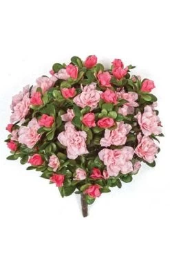 12 Inches Azalea Bush - 154 Leaves - 14 Flowers - 54 Buds - Tutone Pink