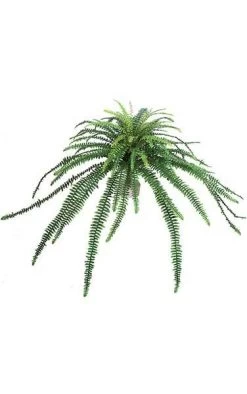 Boston Fern Bush - 88 Green Leaves - 39 Inches Width - Bare Stem