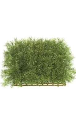 12 Inches Plastic Sprengerii Mat - 3 Inches Height - Tutone Green