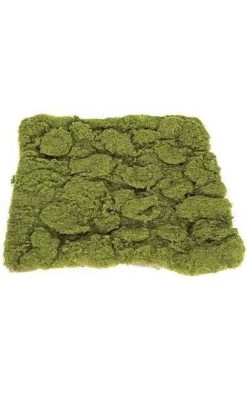 14 Inches Lumpy Moss Mat - Green With Brown Back