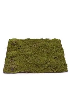 13.5 Inches Plastic Moss Mat - 13.5 Inches Square - Green/Brown