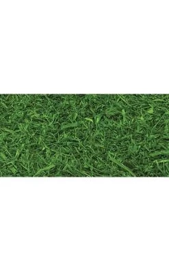 6 Feet X 3.25 Feet (19.5 Sq.ft Minimum) Raffia Grass Mat - Green - FIRE RETARDANT - NET PRICE