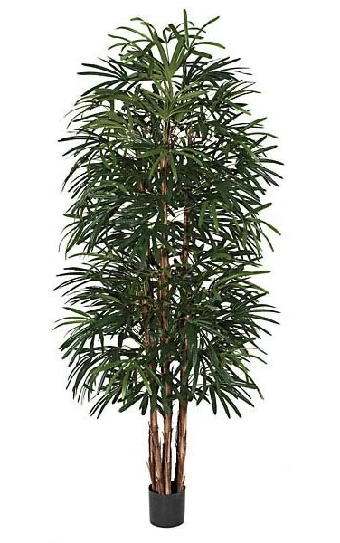 8 Feet Lady Palm - 7 Natural Trunks - Green - Weighted Base