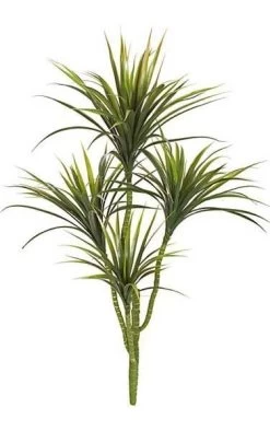42 Inches Outdoor Plastic Liriope Yucca Plant - 4 Heads With Green Leaves And Red Edge - 36 Inches Width - Bare Stem
