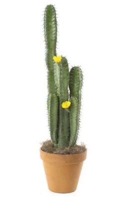 40 Inches Plastic Column Cactus - 2 Flowers - Green - Bare Stem