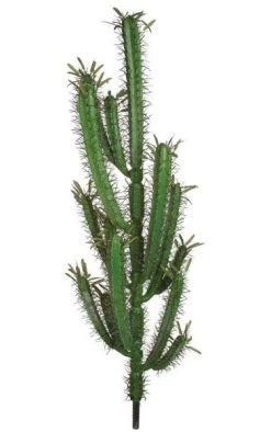 46 Inches Plastic Finger Cactus - 12 Inches Width - Dark Needles