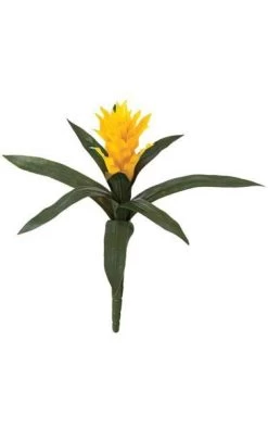 22 Inches Outdoor Bromeliad Plant - 12 Green Leaves - Gold Yellow Flower -Bare Stem