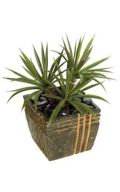 22 Inches Plastic Star Succulent/Aloe Bush - 60 Green/Red Leaves - 21 Inches Width - Weighted Base