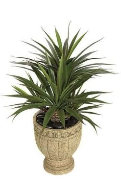 31 Inches Plastic Star Succulent/Aloe Bush - 107 Green/Red Leaves - 31 Inches Width - Weighted Base